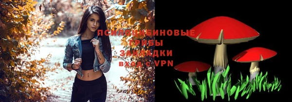мдпв Нея