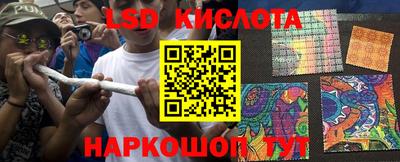 PSILOCYBIN Азнакаево