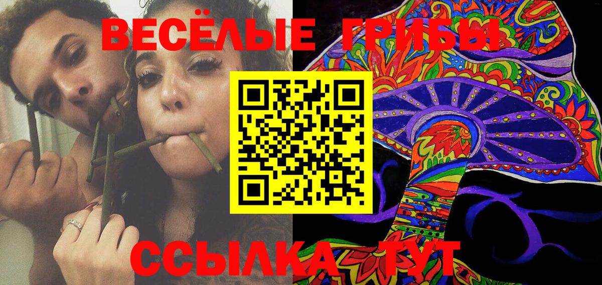 Псилоцибиновые грибы Cubensis  Псилоцибиновые грибы Magic Shrooms  Апрелевка 