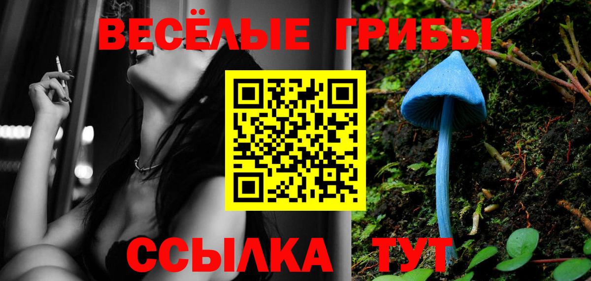 Апрелевка  что такое наркотик  Псилоцибиновые грибы Magic Shrooms  Вход с VPN  Галлюциногенные грибы мухоморы 
